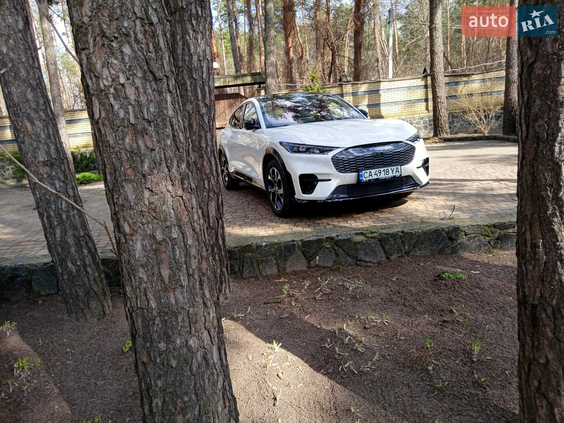 2021 Ford Mustang Mach-E - мініатюра 5