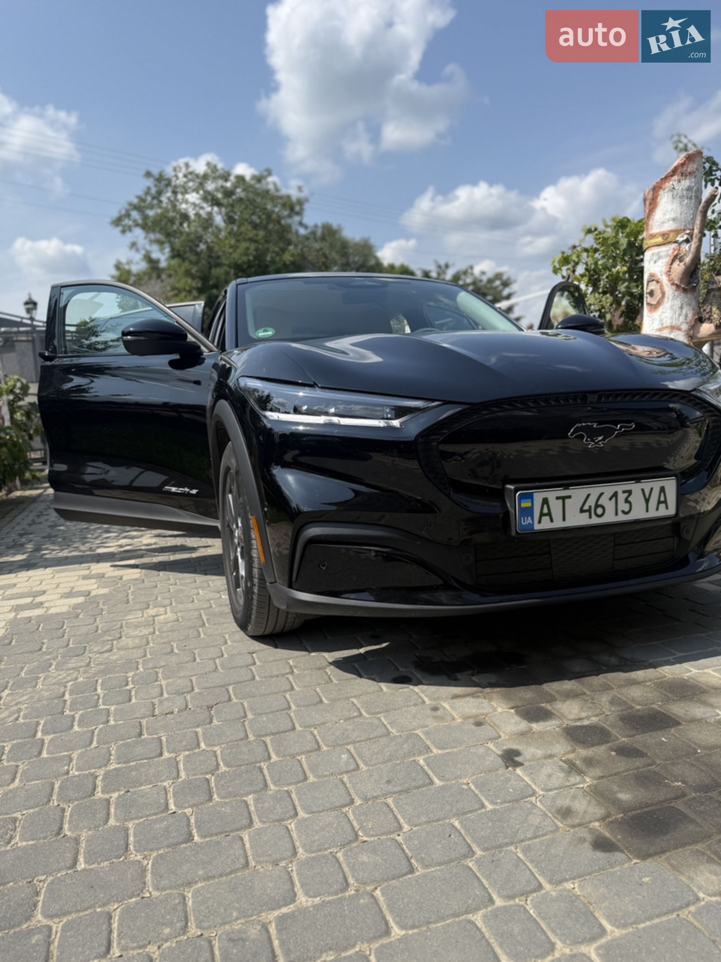 2021 Ford Mustang Mach-E - мініатюра 2