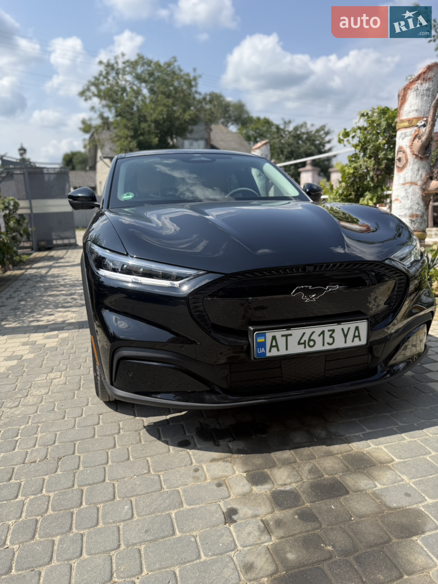 2021 Ford Mustang Mach-E - мініатюра 12