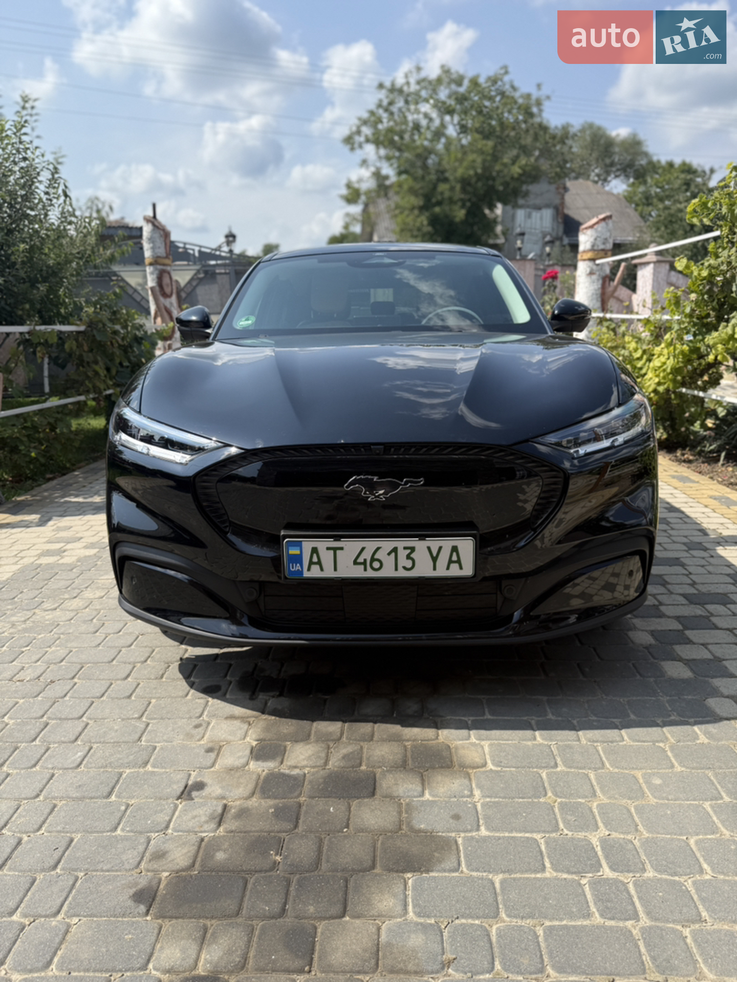 2021 Ford Mustang Mach-E - мініатюра 13