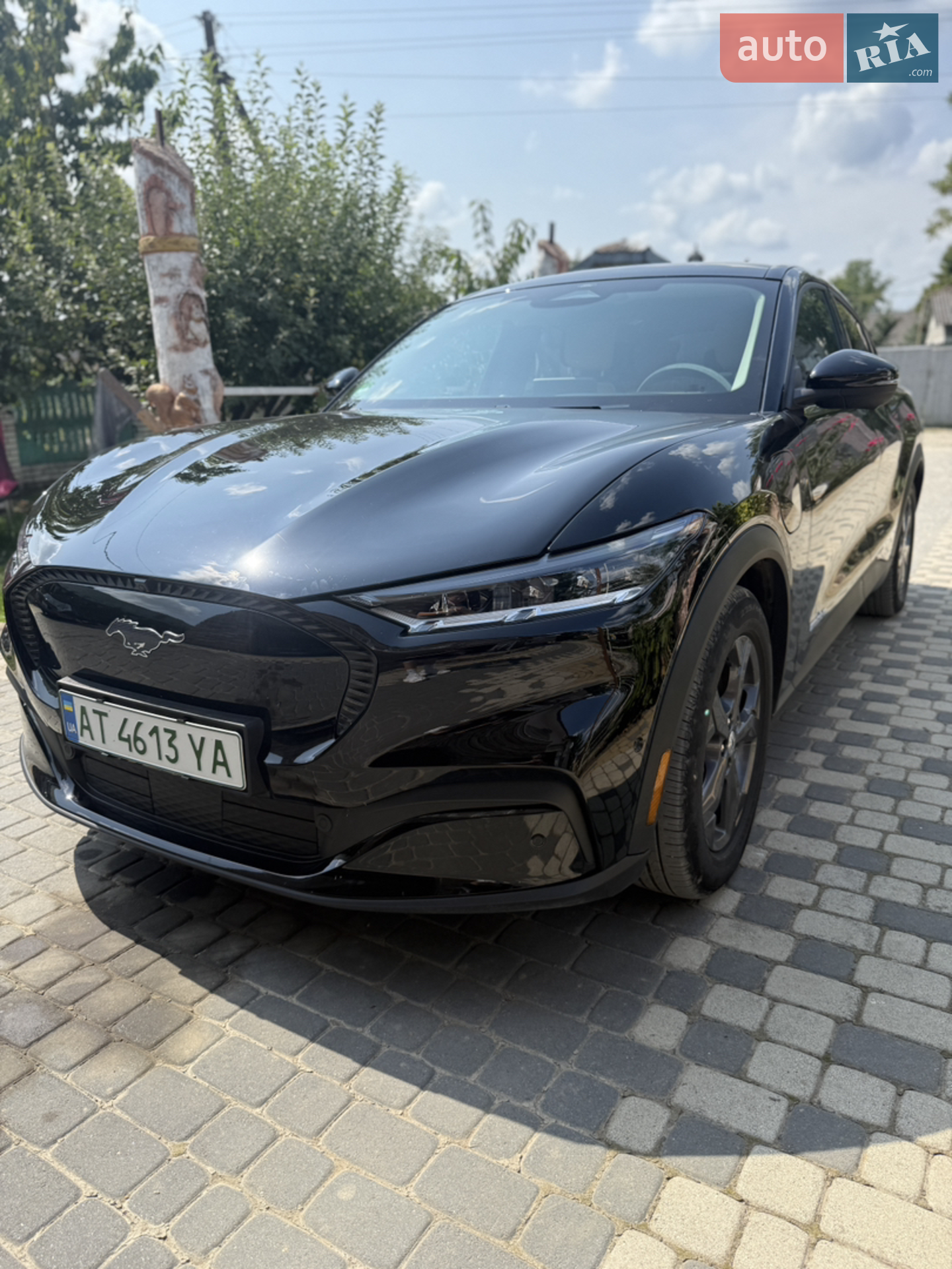 2021 Ford Mustang Mach-E - мініатюра 14