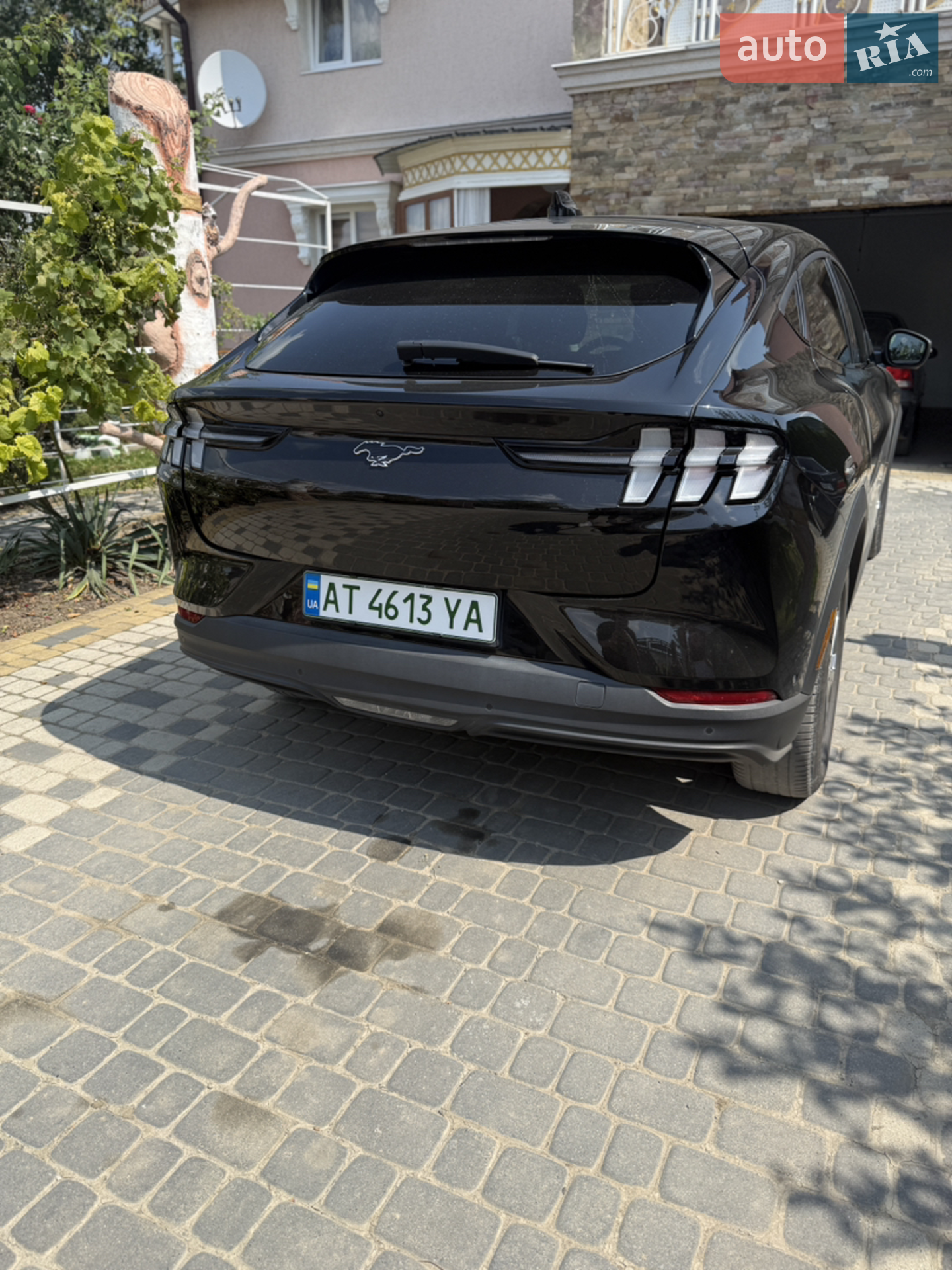 2021 Ford Mustang Mach-E - мініатюра 15