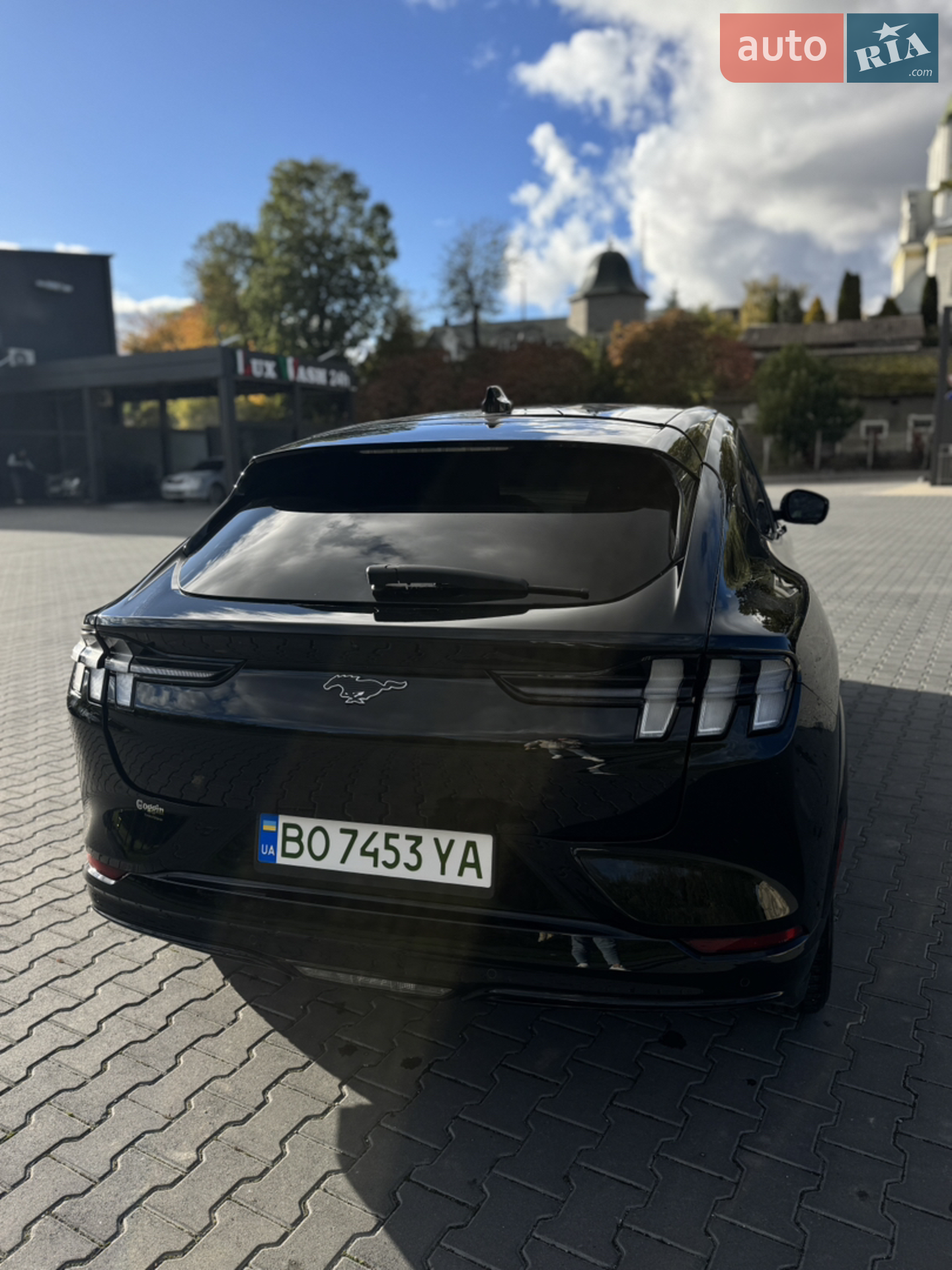 2021 Ford Mustang Mach-E - мініатюра 12