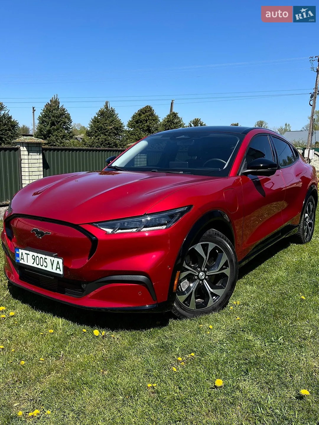 2023 Ford Mustang Mach-E - мініатюра 2