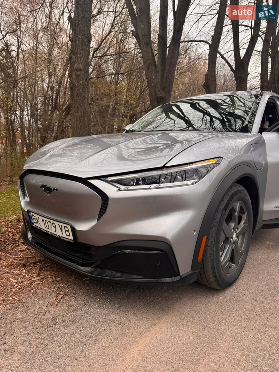 2021 Ford Mustang Mach-E - мініатюра 10