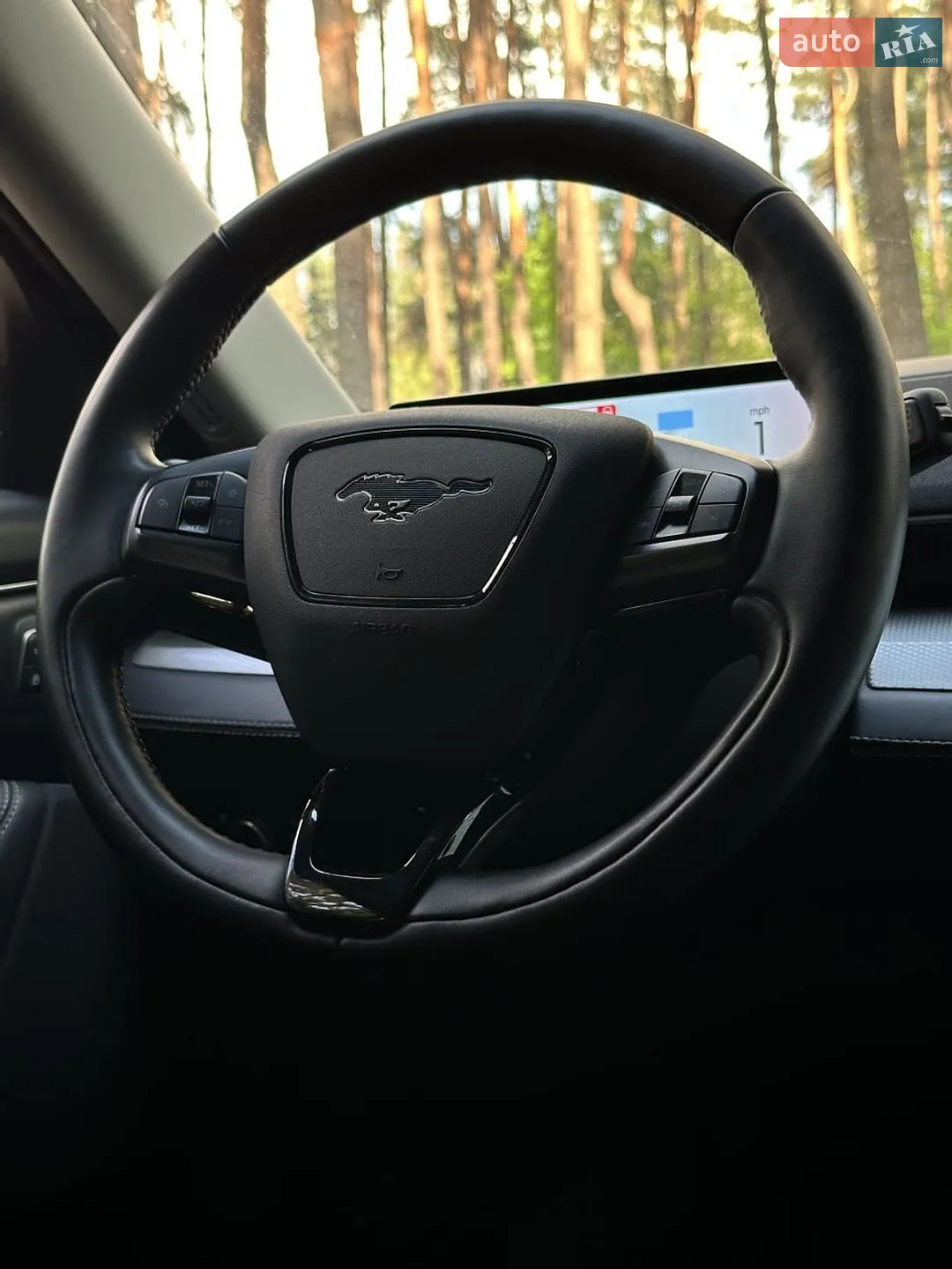 2020 Ford Mustang Mach-E - мініатюра 21