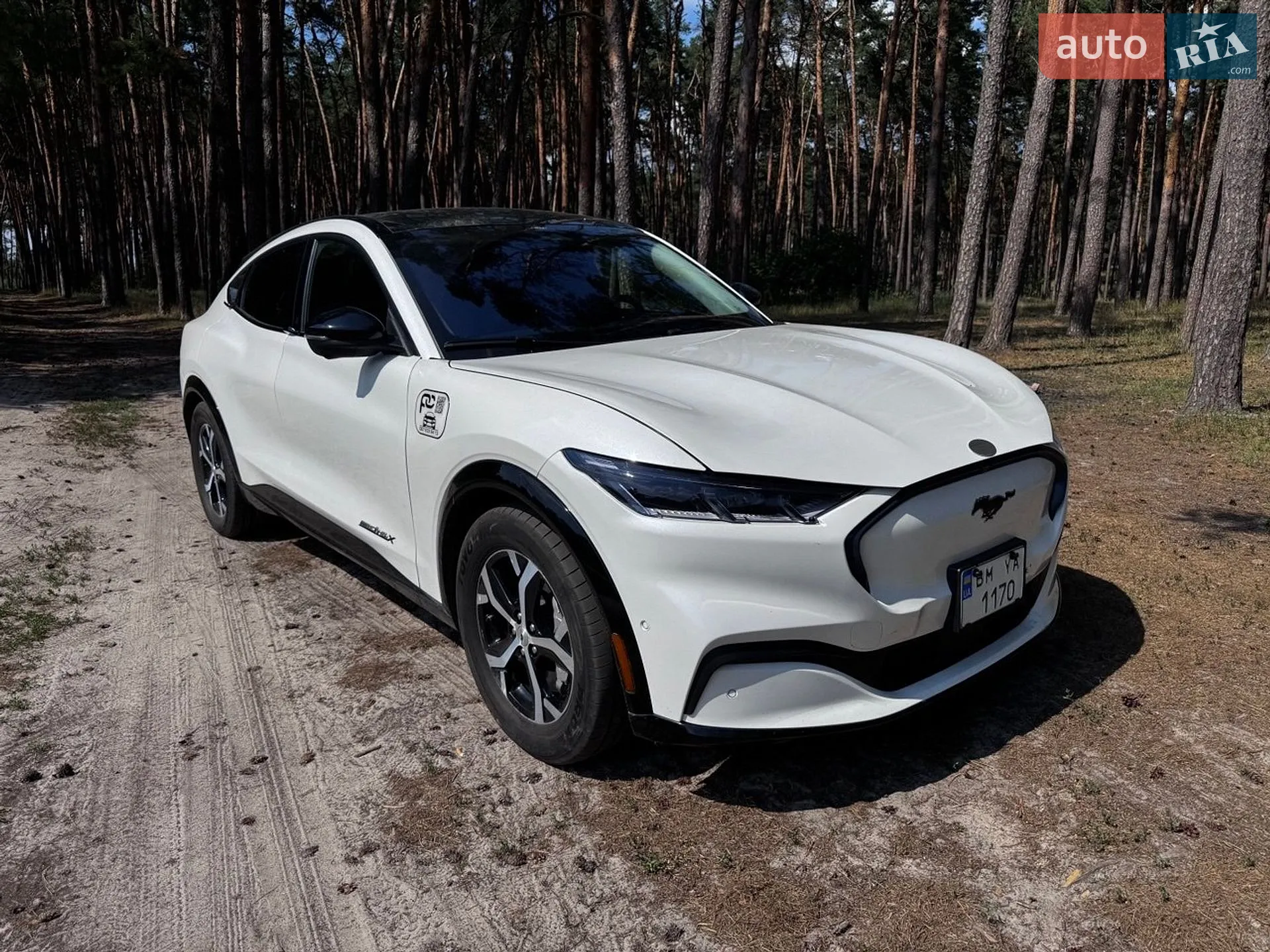 2022 Ford Mustang Mach-E - мініатюра 12