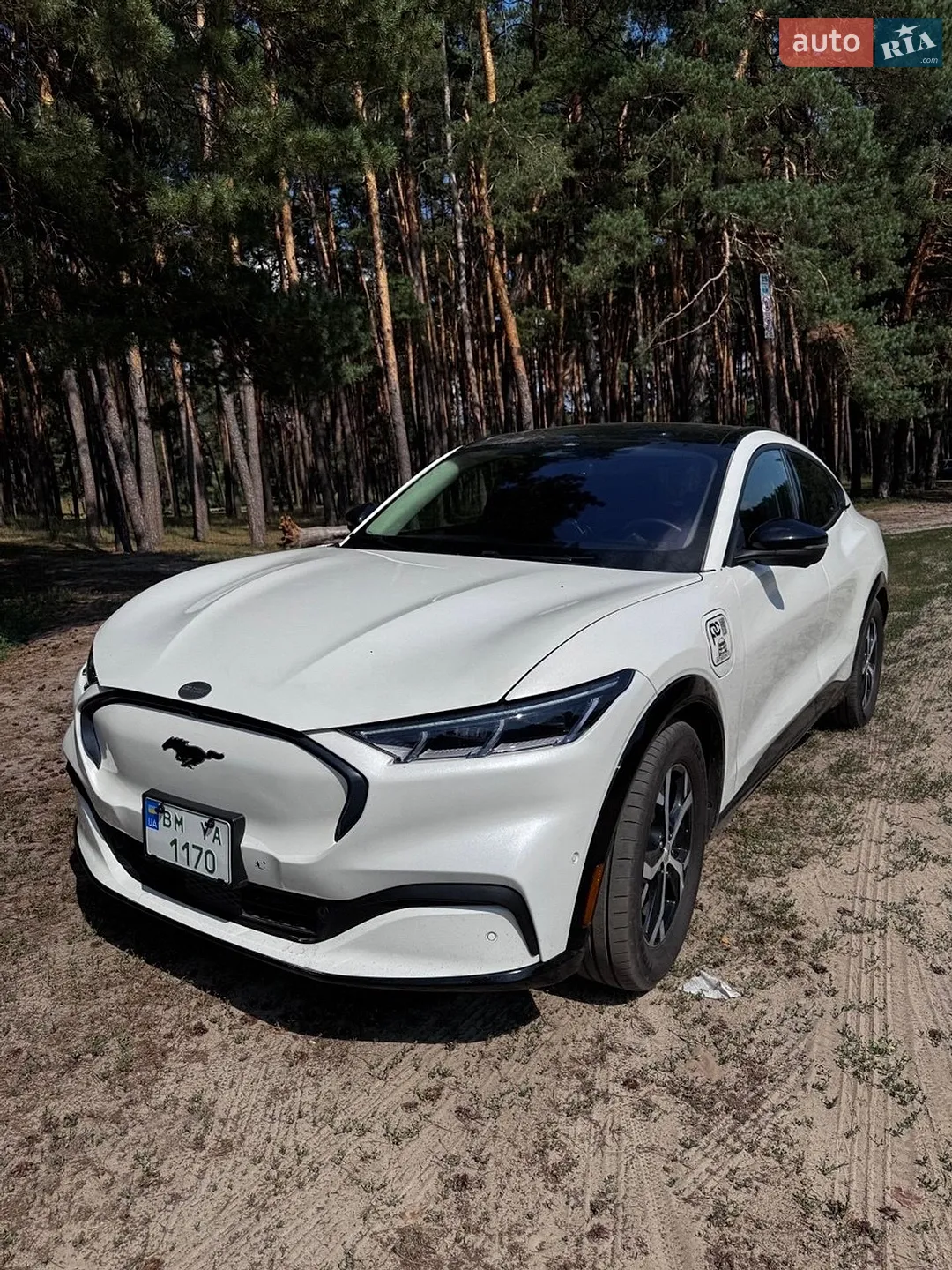 2022 Ford Mustang Mach-E - мініатюра 13