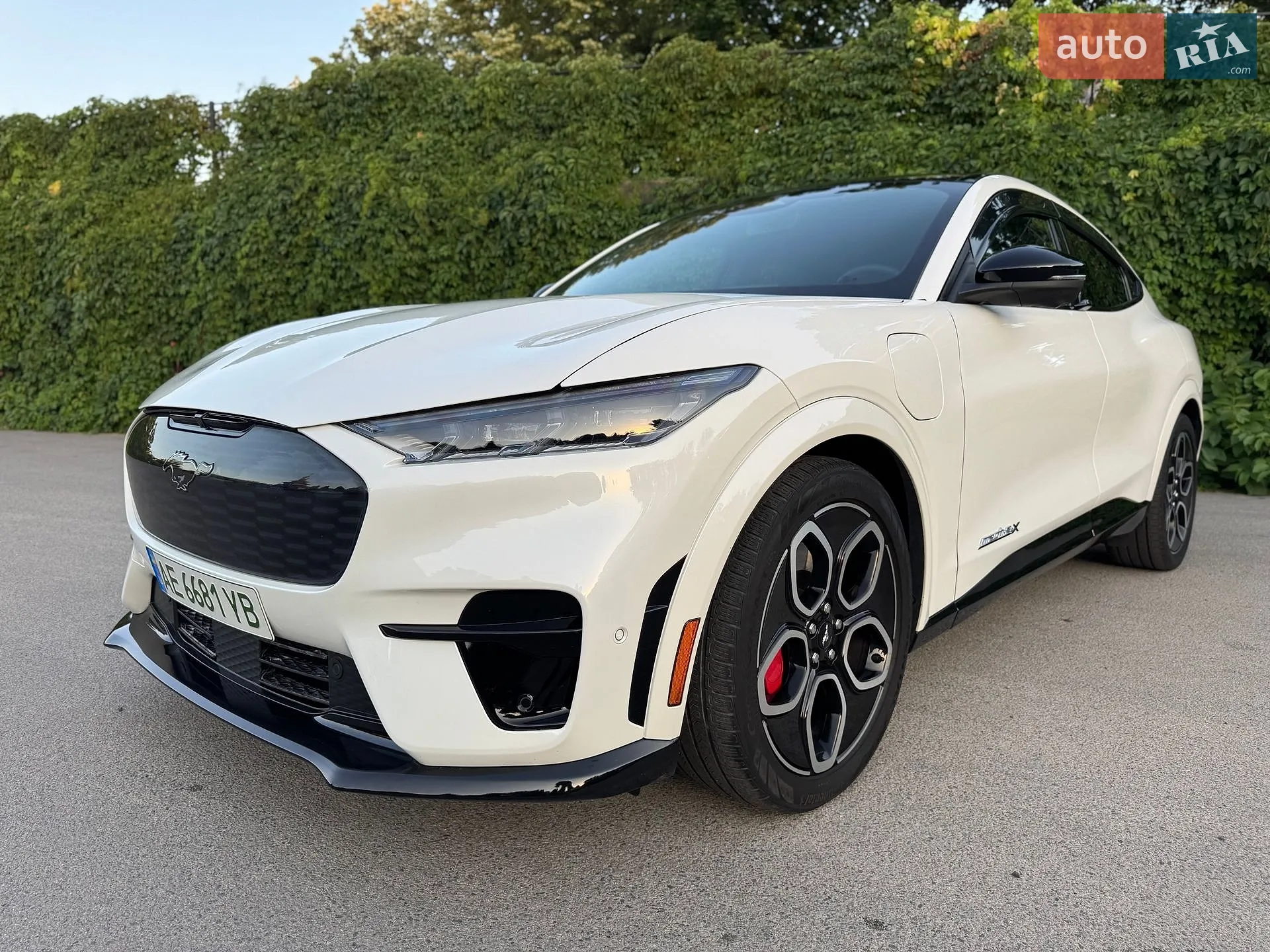 2023 Ford Mustang Mach-E - мініатюра 14