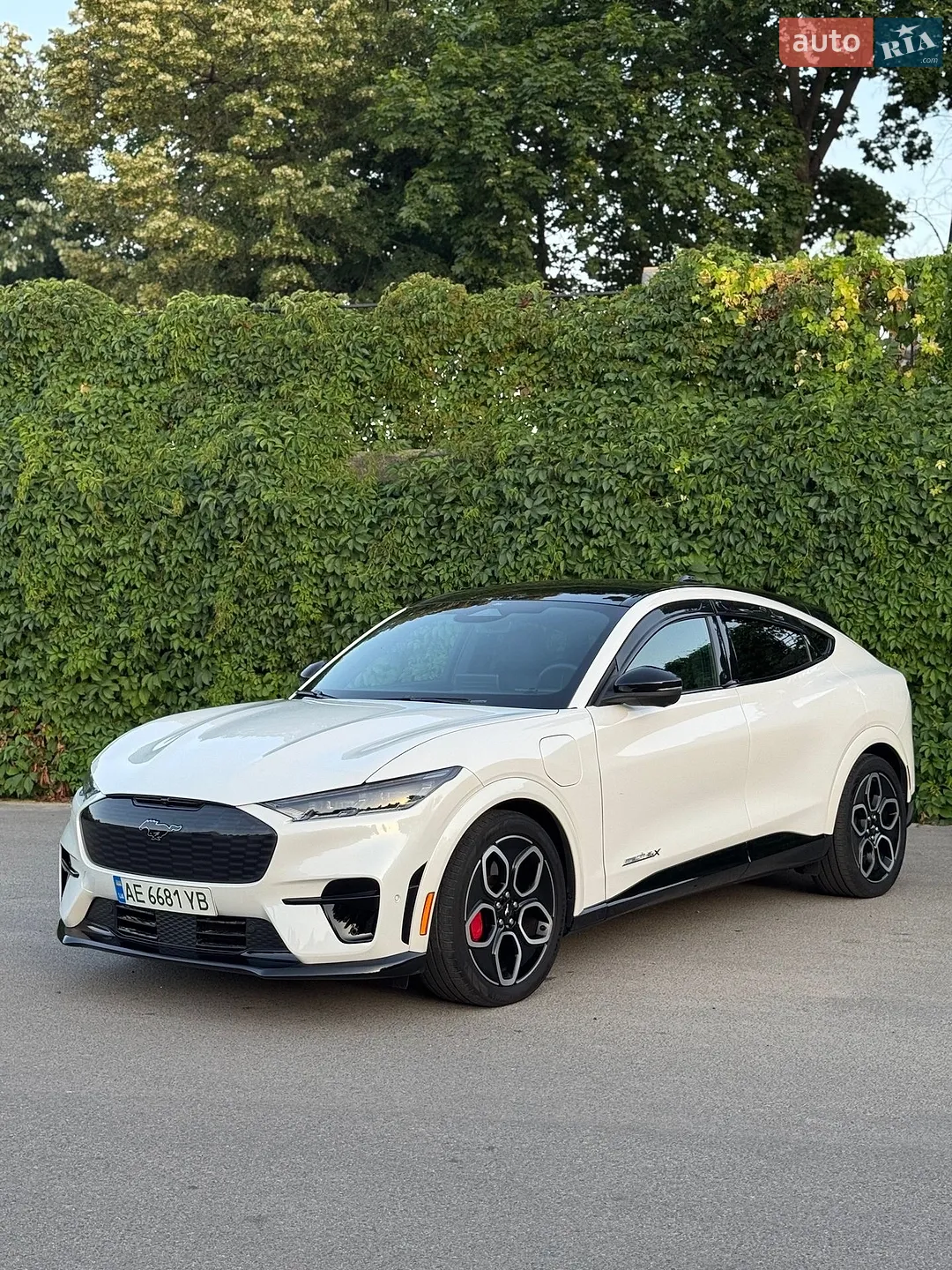 2023 Ford Mustang Mach-E - мініатюра 19