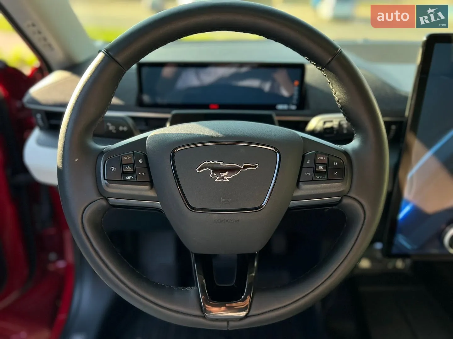 2021 Ford Mustang Mach-E - мініатюра 13