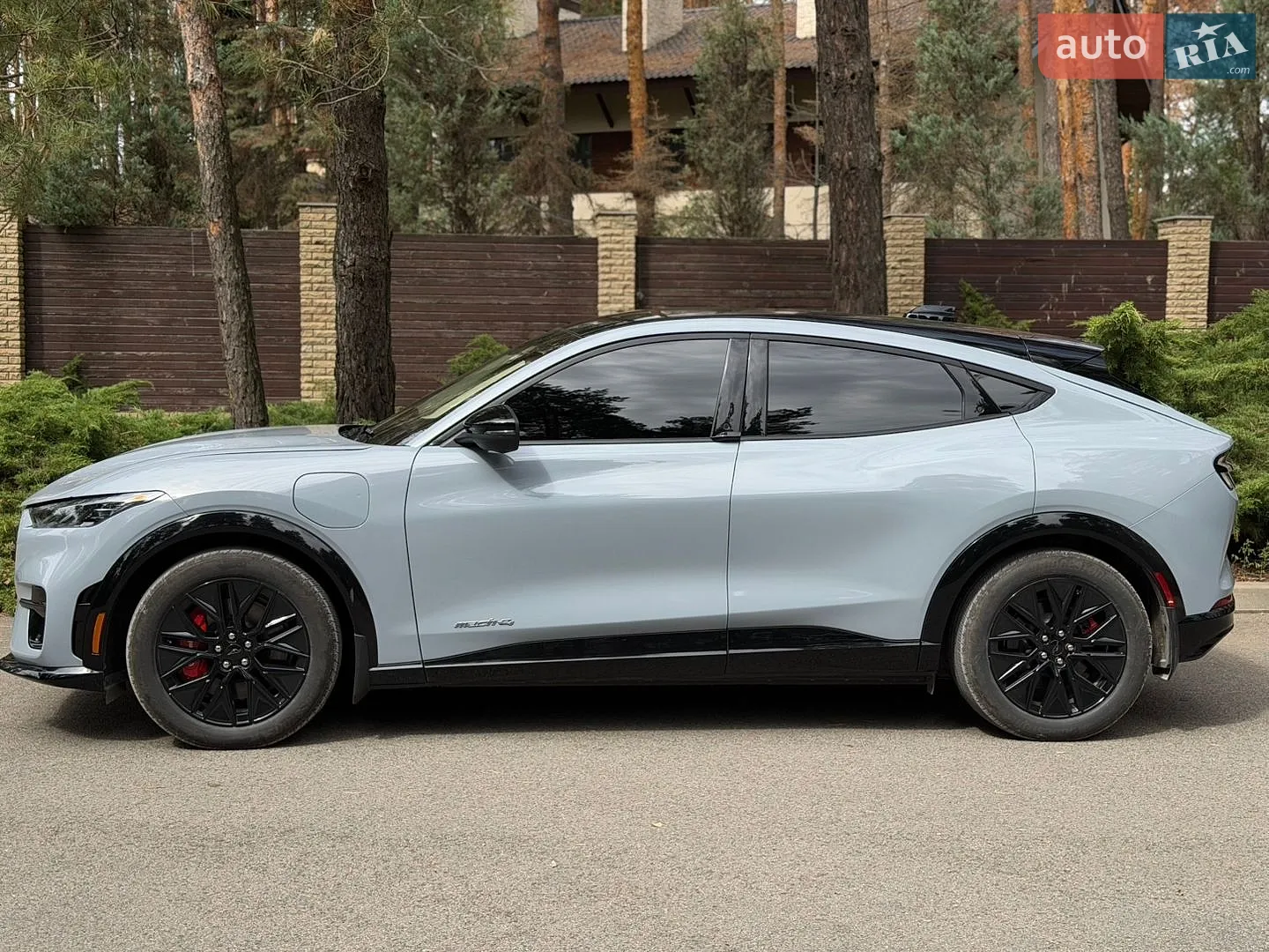 2025 Ford Mustang Mach-E - мініатюра 8