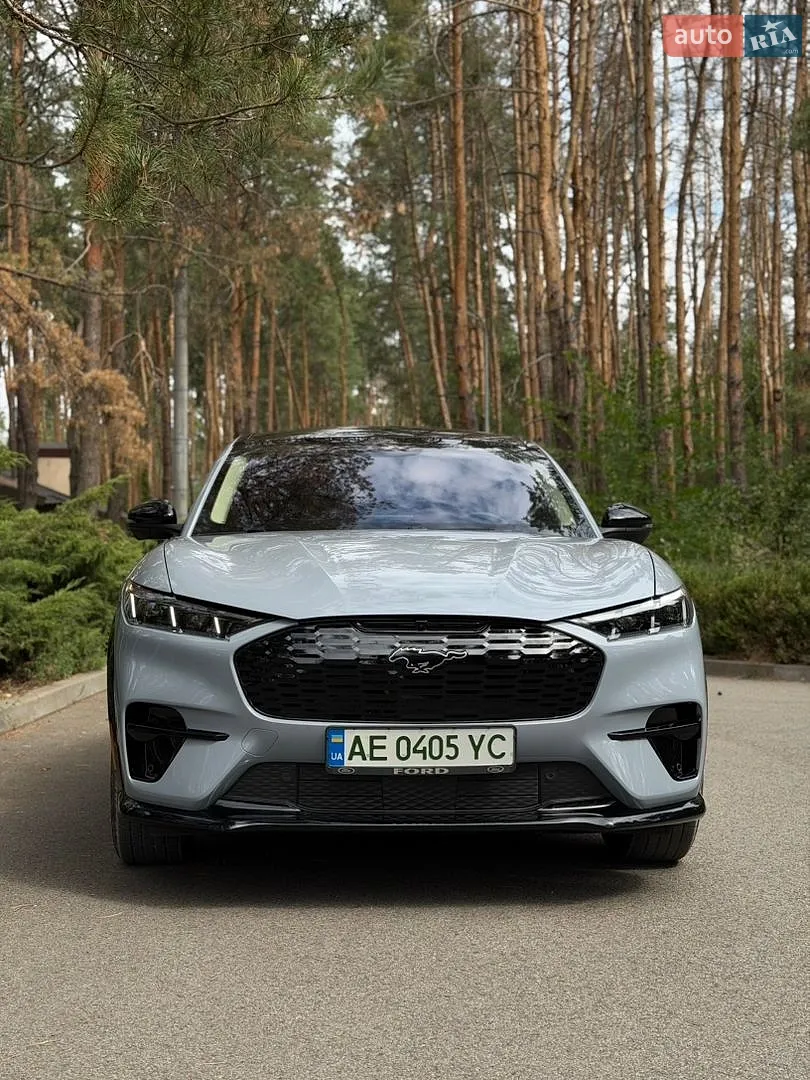 2025 Ford Mustang Mach-E - мініатюра 17