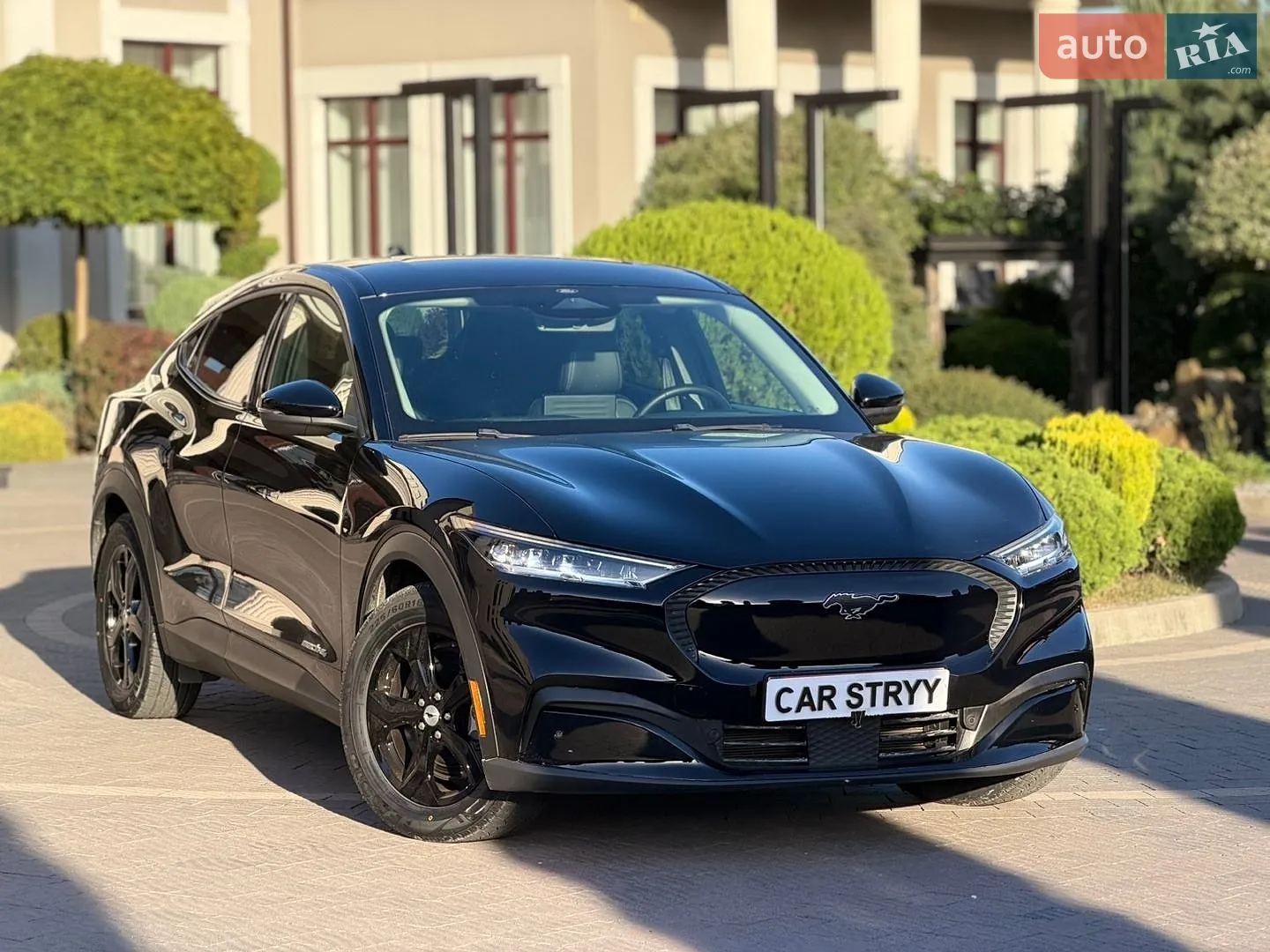 2021 Ford Mustang Mach-E - мініатюра 6