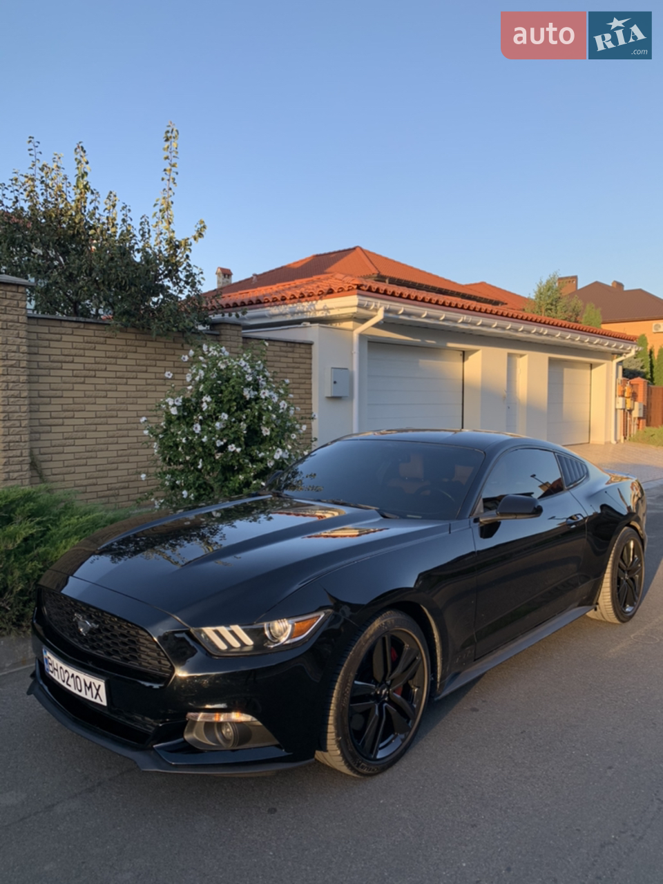 2015 Ford Mustang - мініатюра 2