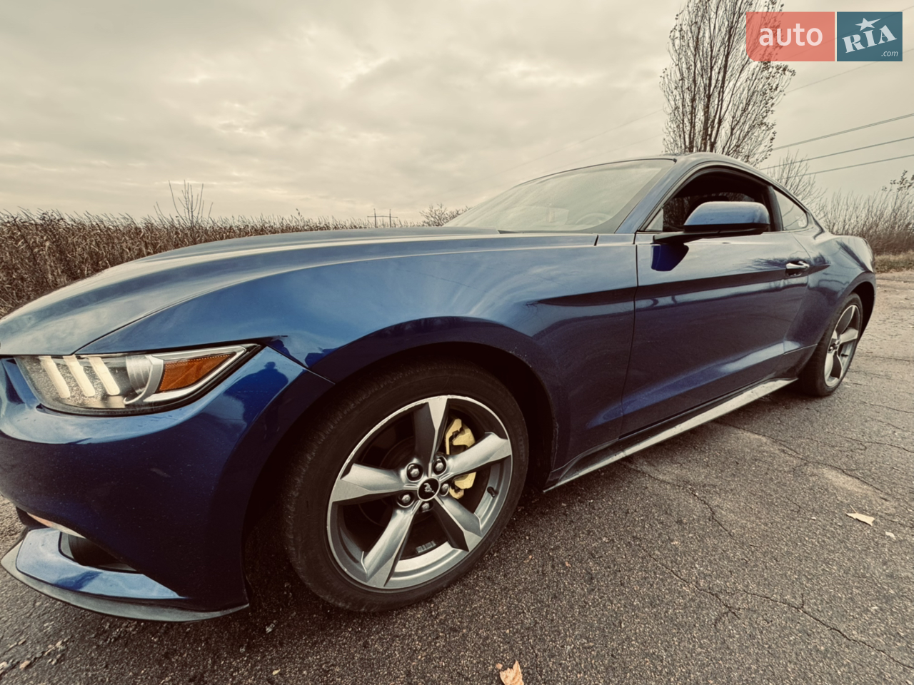 2015 Ford Mustang - мініатюра 26