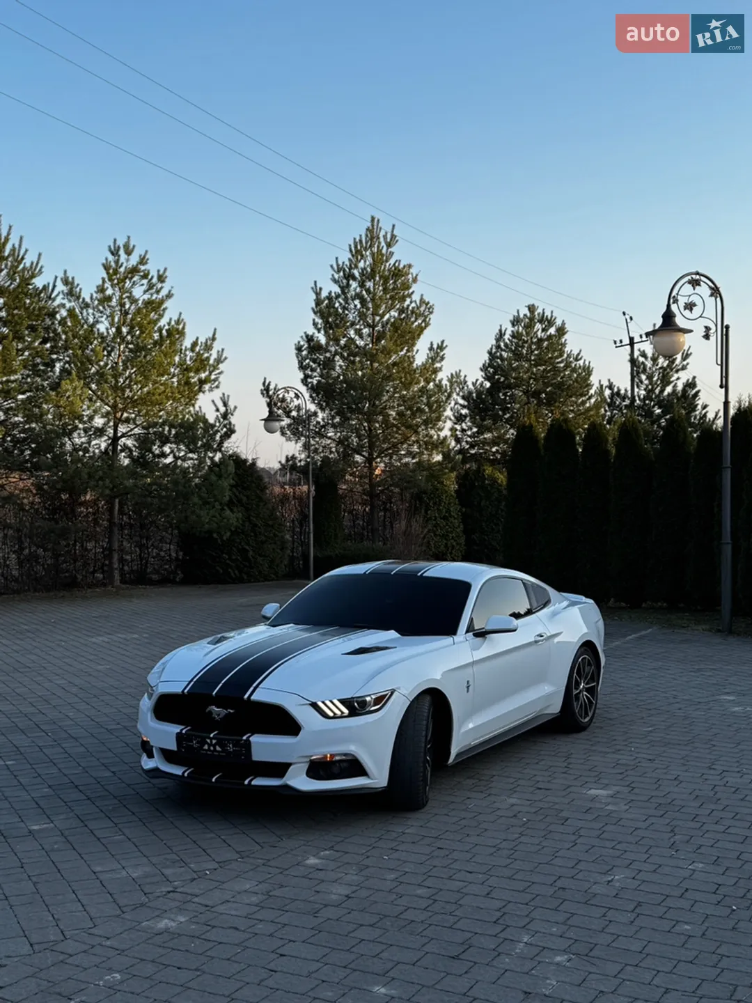 2015 Ford Mustang - мініатюра 12