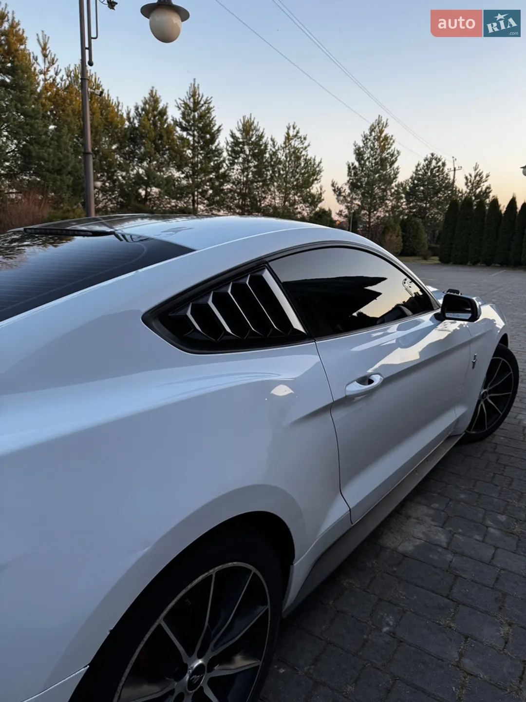 2015 Ford Mustang - мініатюра 14