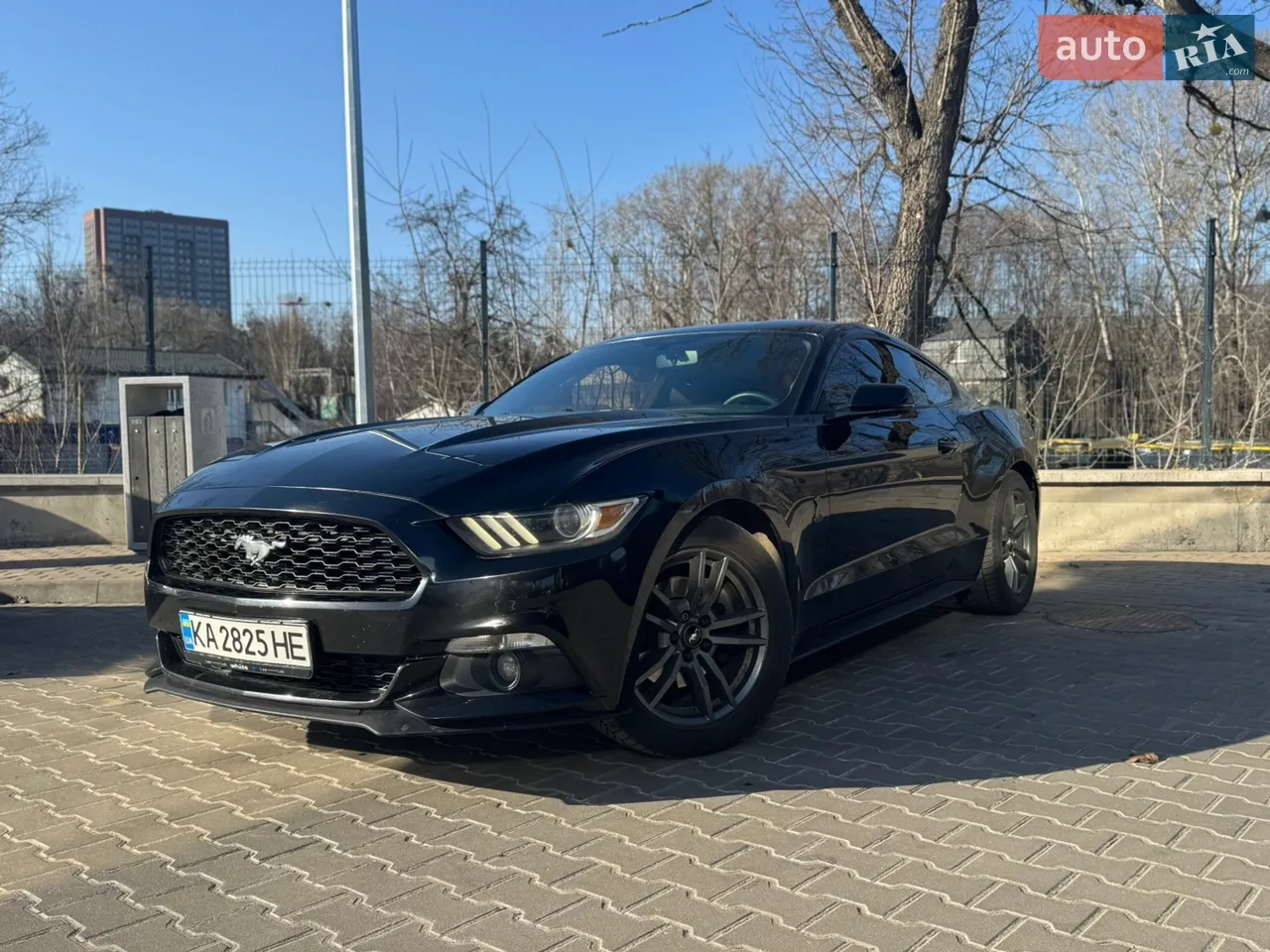 2016 Ford Mustang - мініатюра 28
