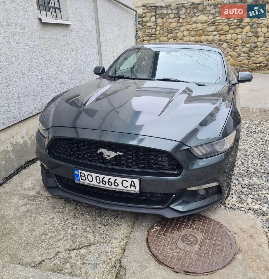 2014 Ford Mustang - мініатюра 13