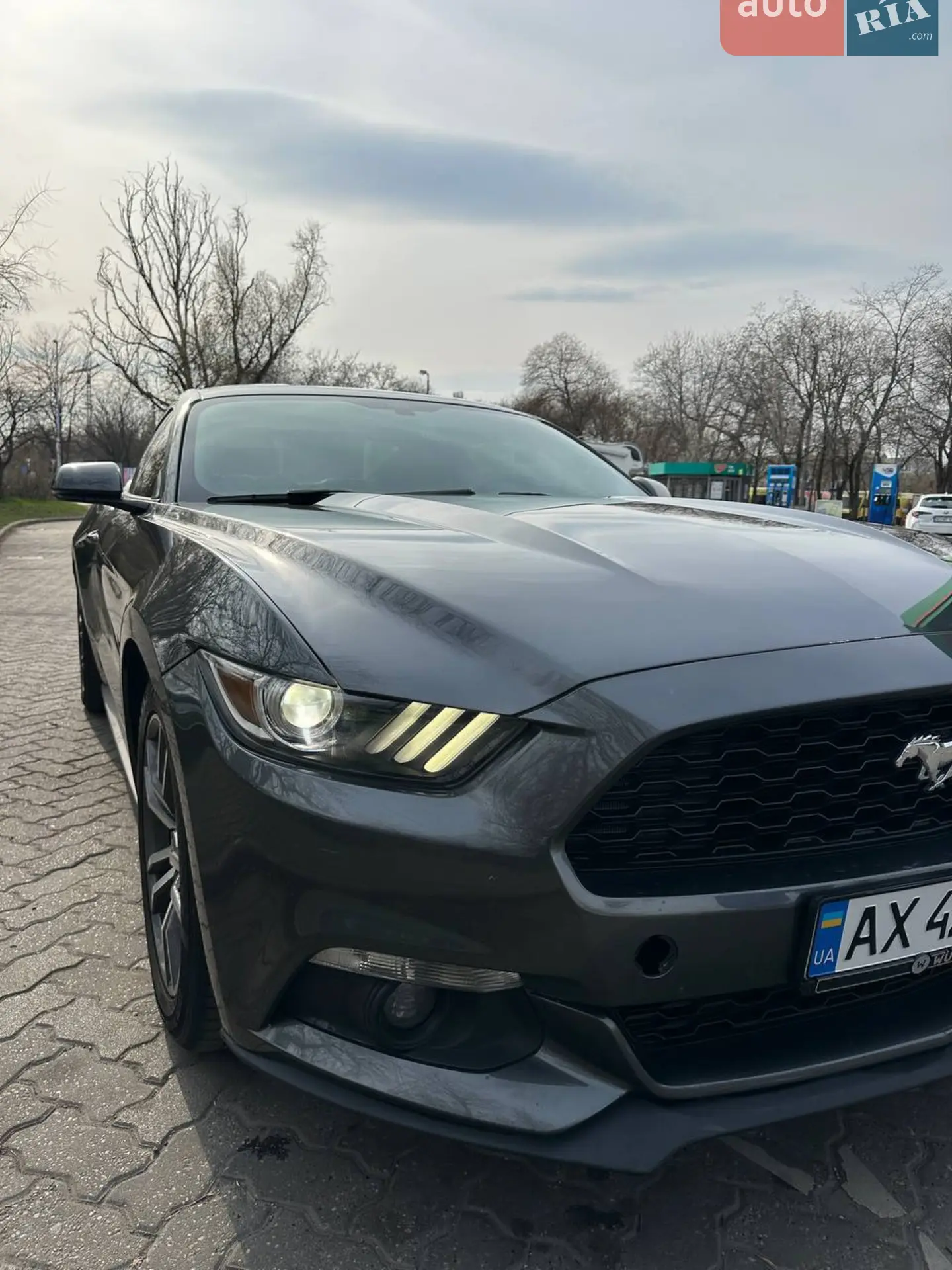 2014 Ford Mustang - мініатюра 2