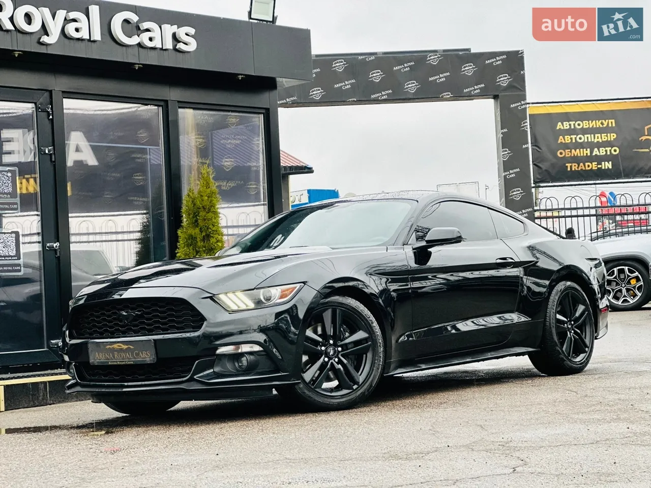 2014 Ford Mustang - мініатюра 16
