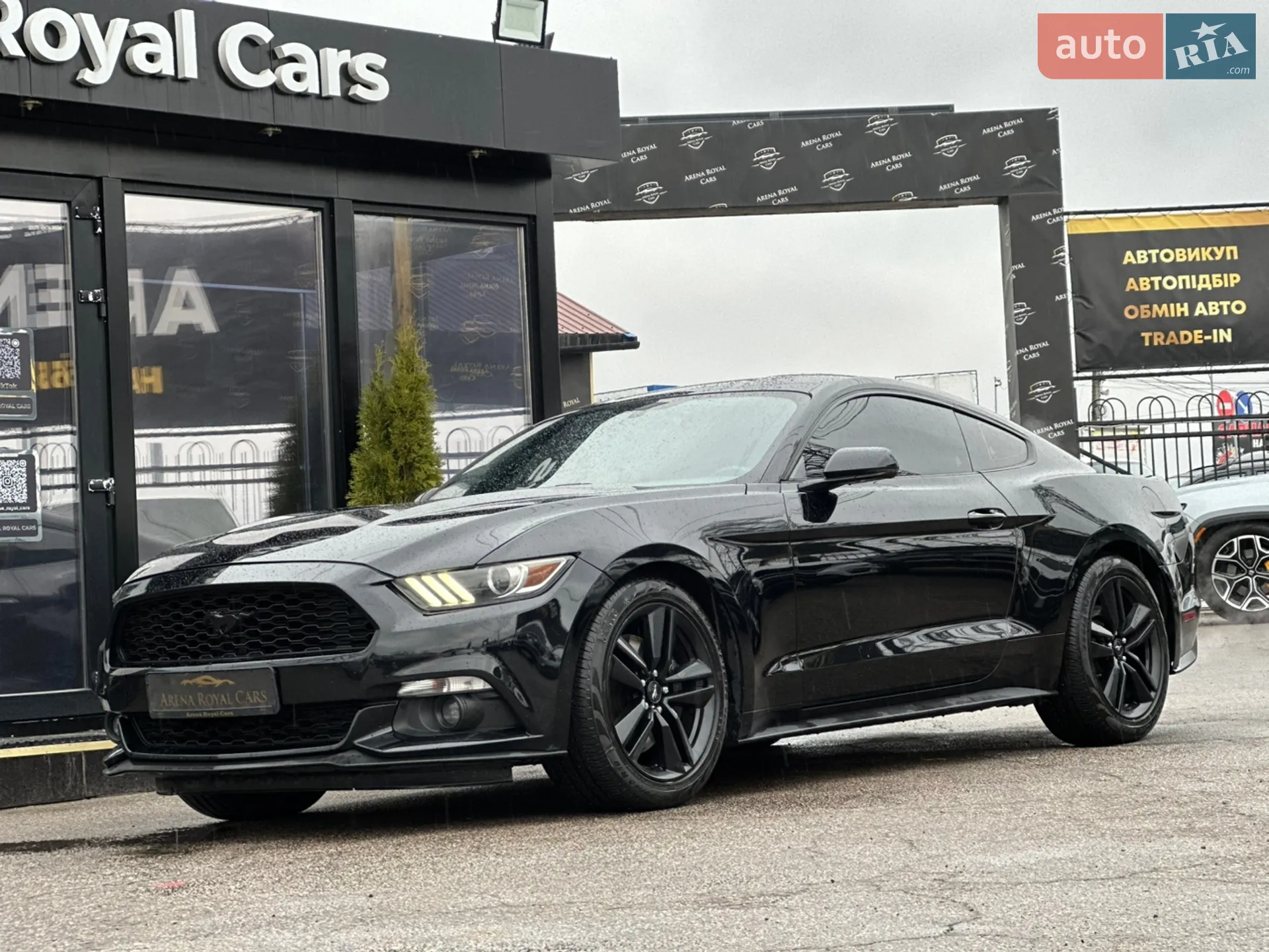 2014 Ford Mustang - мініатюра 6