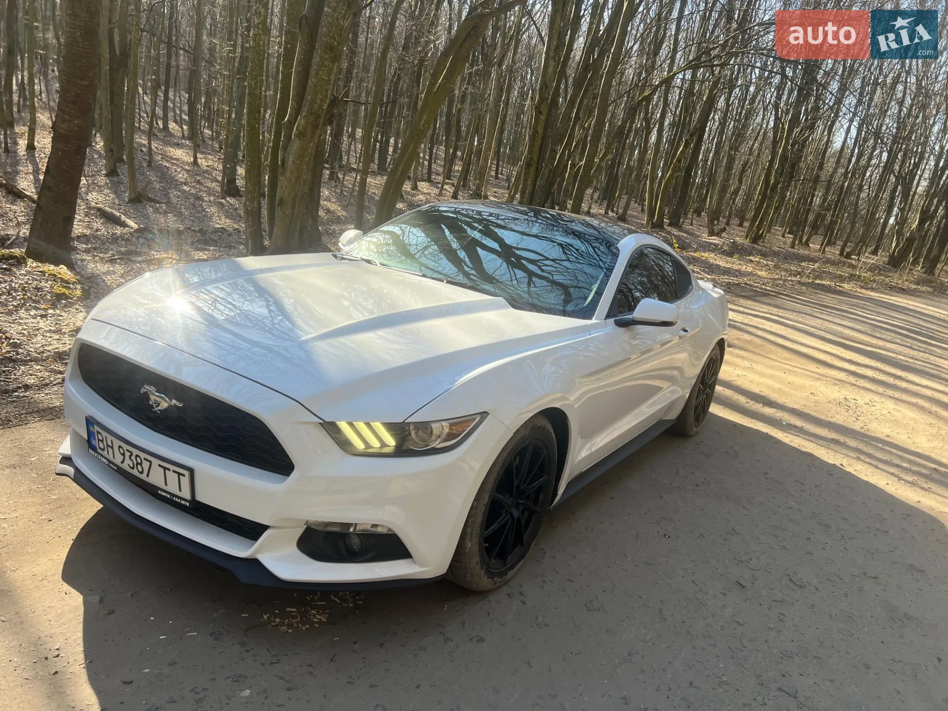 2016 Ford Mustang - мініатюра 22