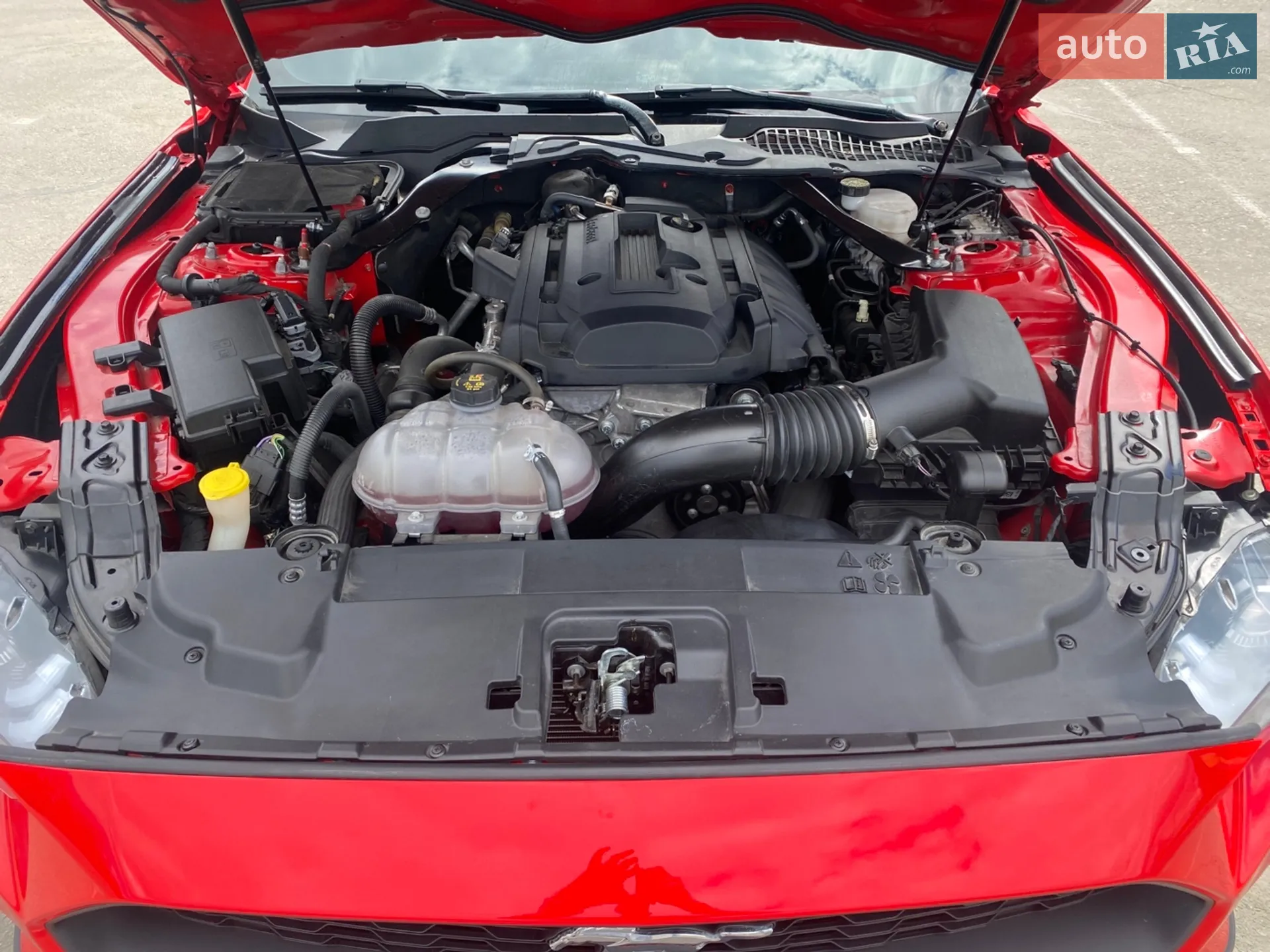 2019 Ford Mustang - мініатюра 13