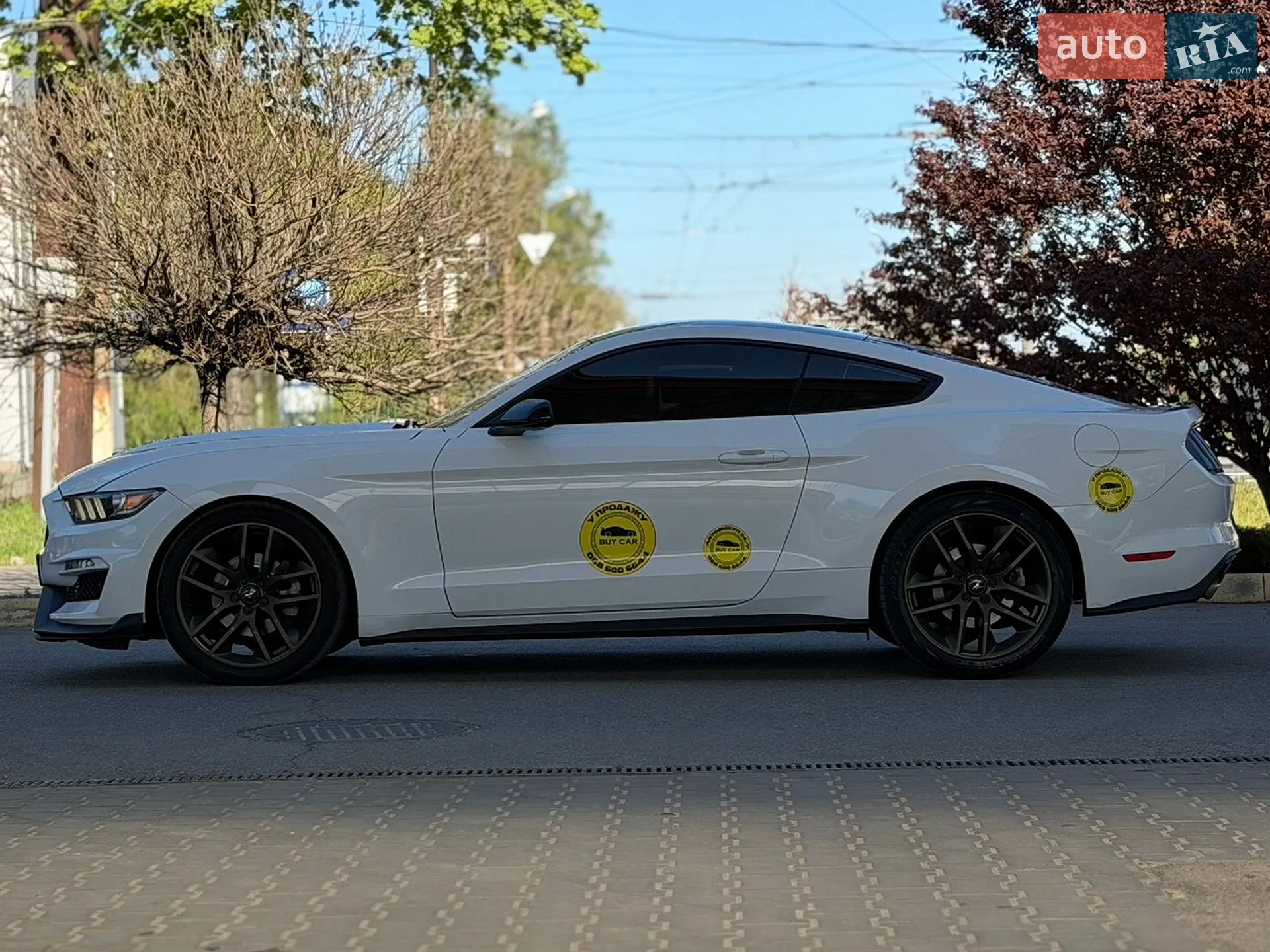 2015 Ford Mustang - мініатюра 2