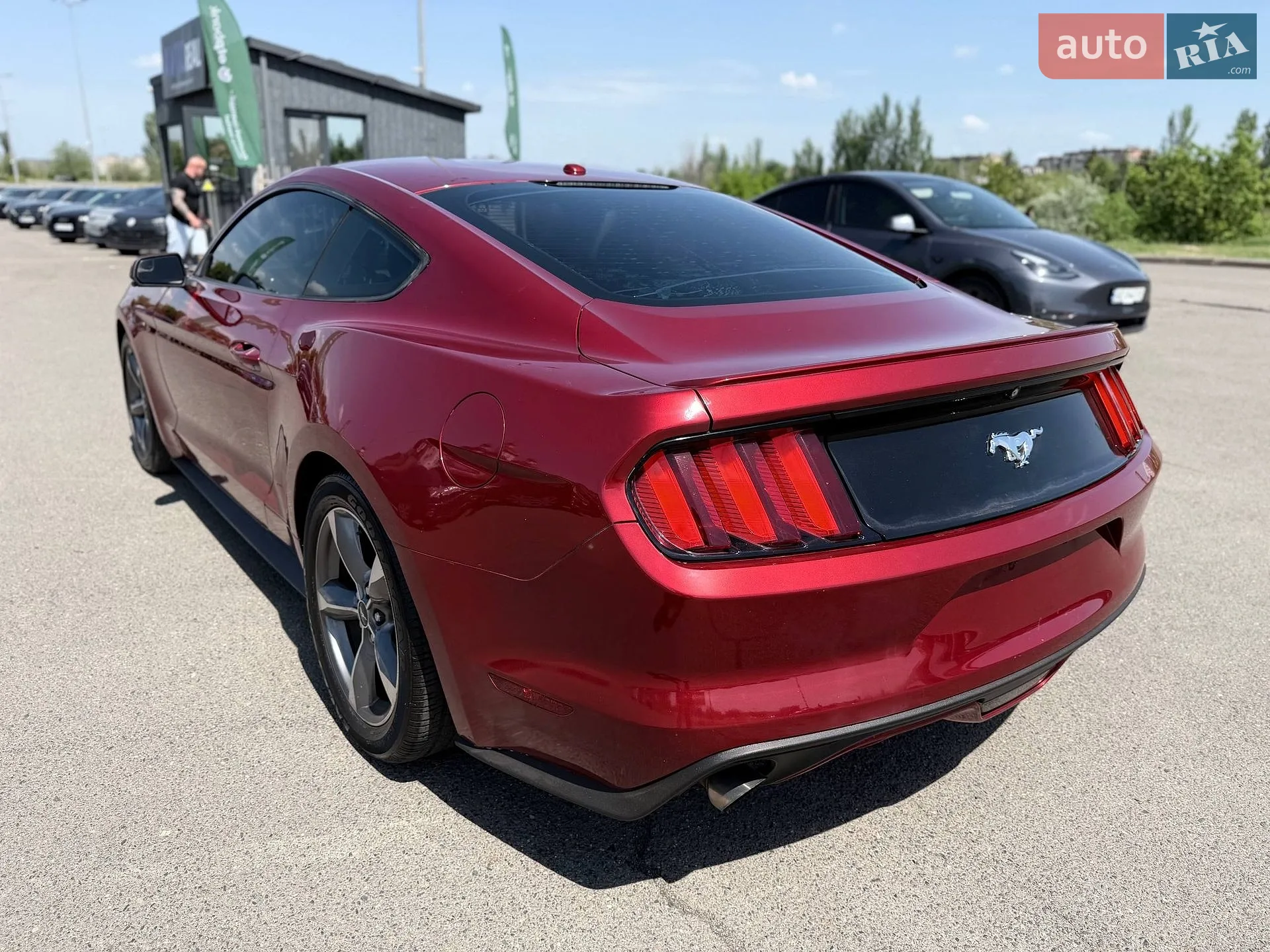 2016 Ford Mustang - мініатюра 33