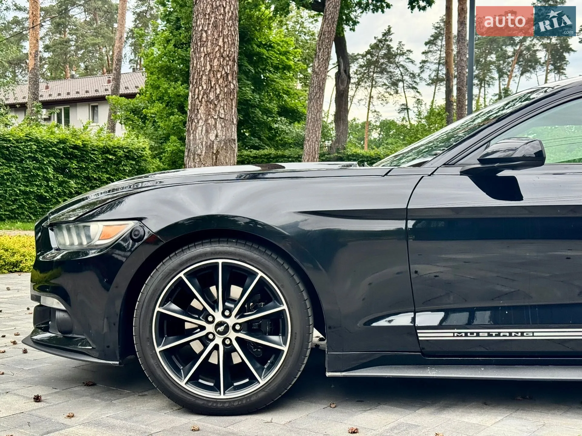 2015 Ford Mustang - мініатюра 22