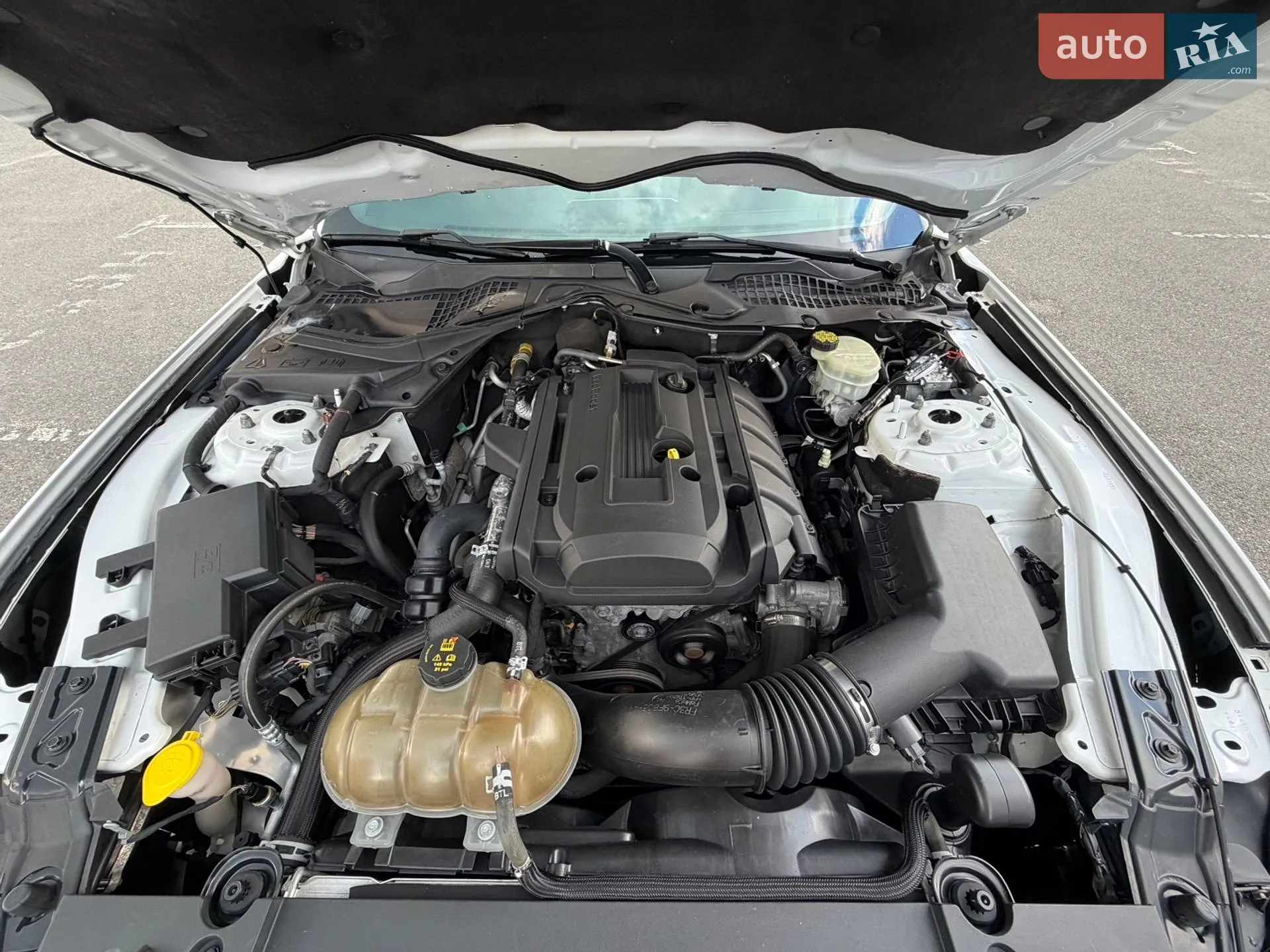 Ford Mustang 2017 VIN 1FA6P8TH2H5309138 фото оголошення 8 з 10
