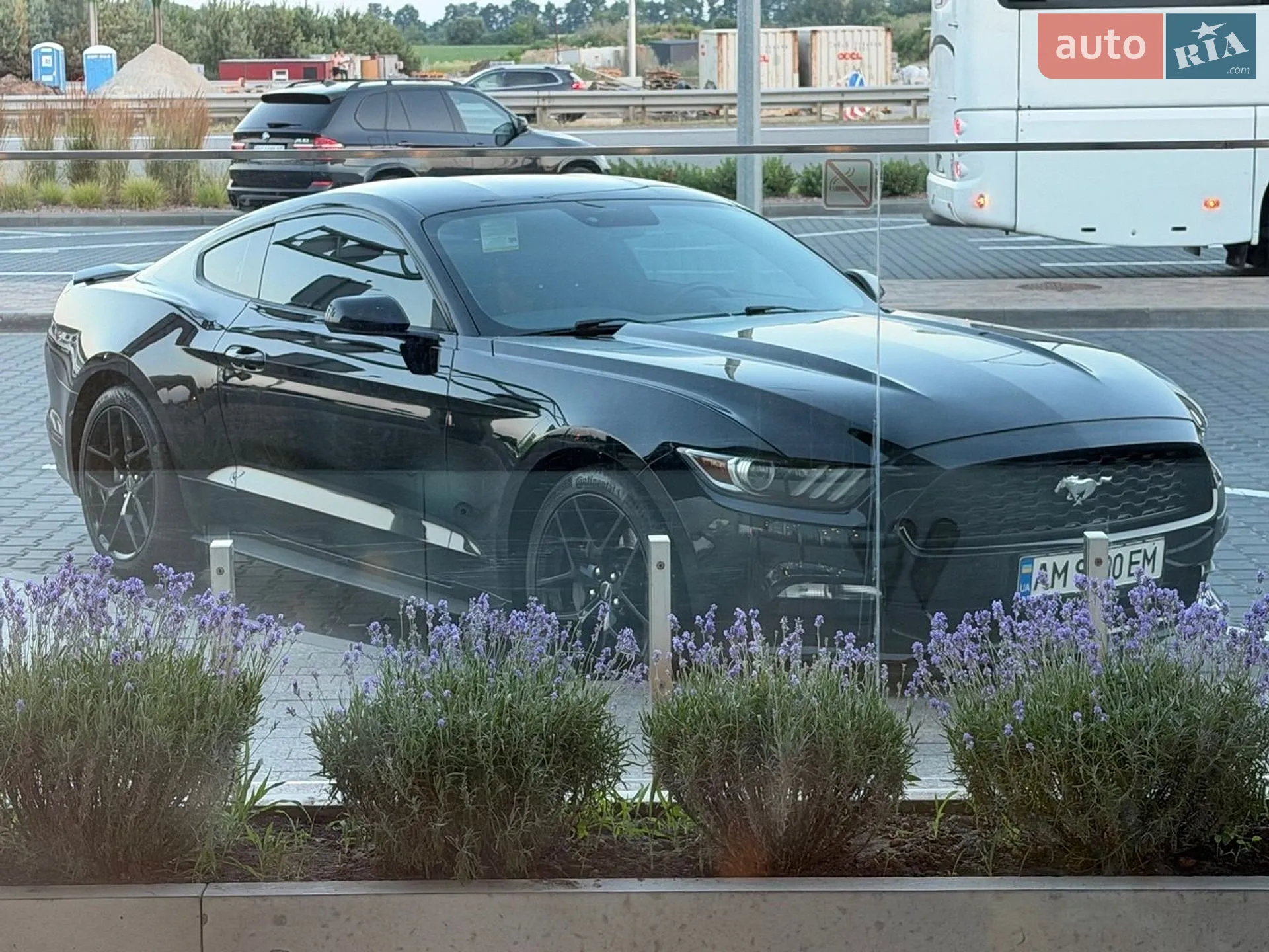 2017 Ford Mustang - мініатюра 17