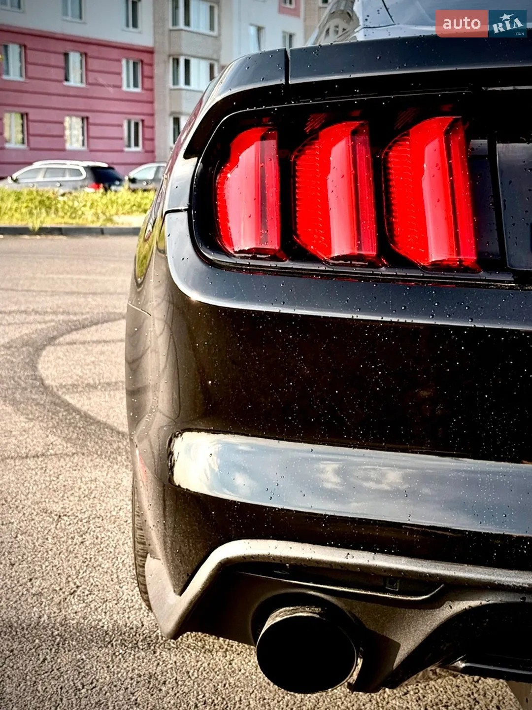 2016 Ford Mustang - мініатюра 5
