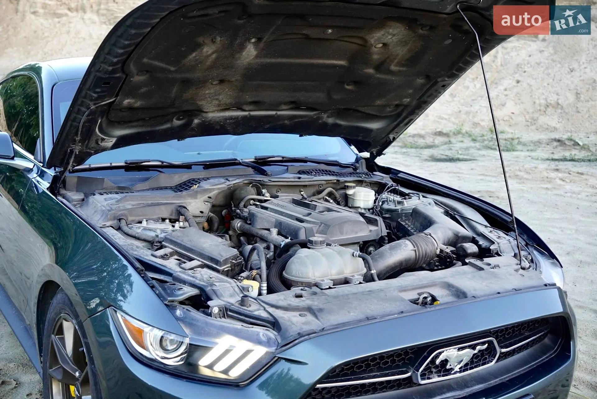 2015 Ford Mustang - мініатюра 16