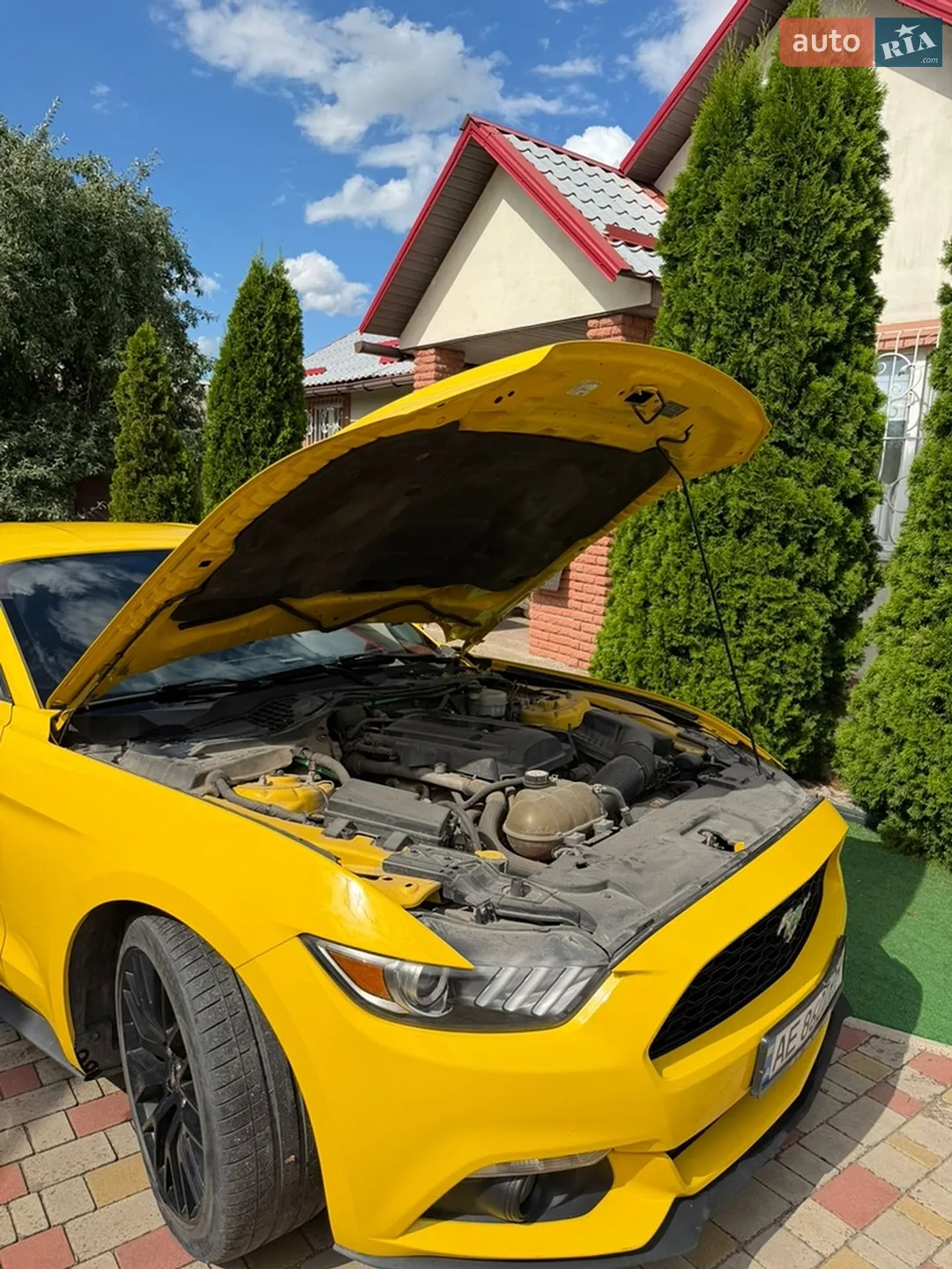 2014 Ford Mustang - мініатюра 11