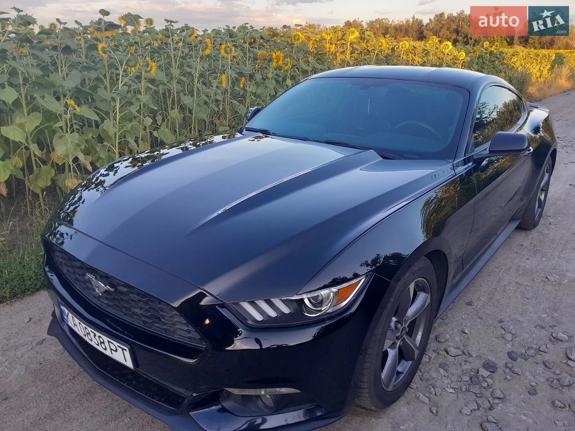 2016 Ford Mustang - мініатюра 2