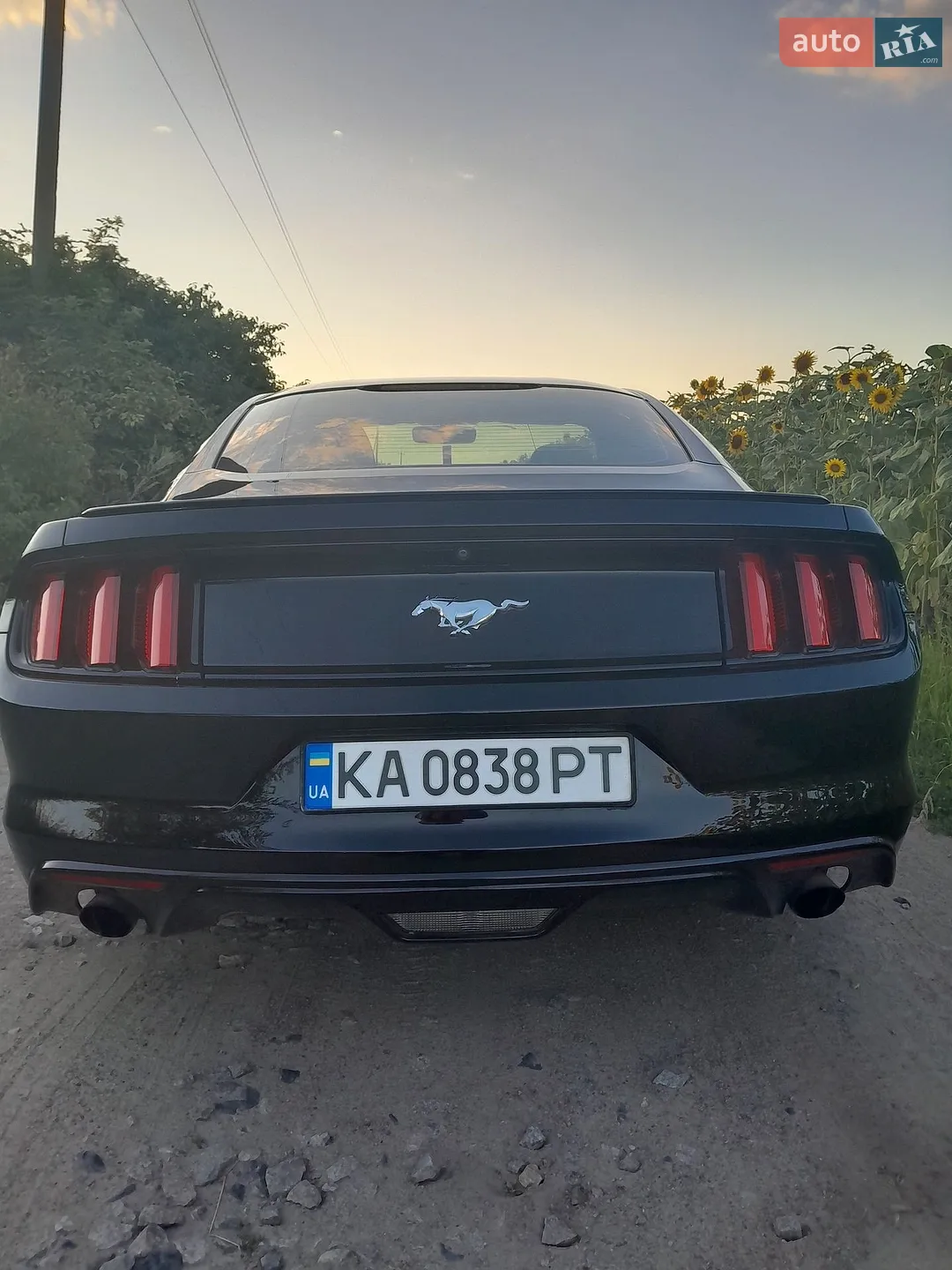 2016 Ford Mustang - мініатюра 12