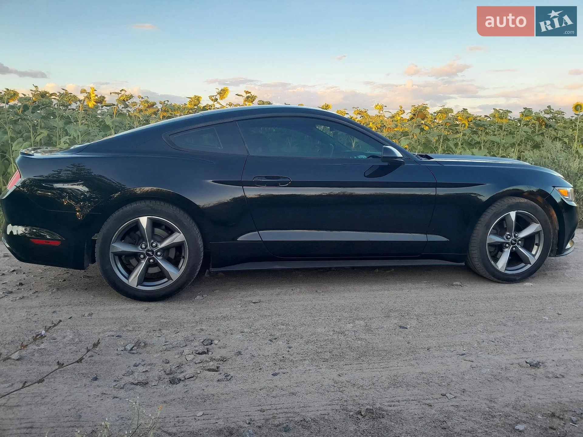 2016 Ford Mustang - мініатюра 16