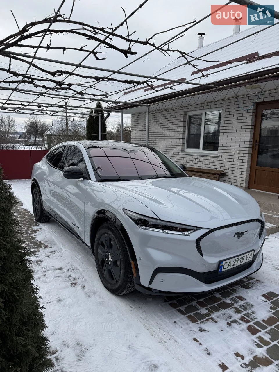 2021 Ford Mustang Mach-E - мініатюра 22