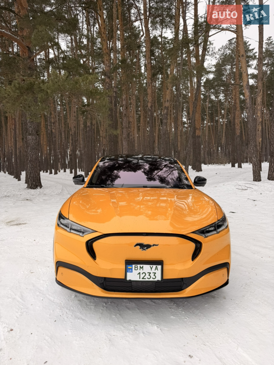 2022 Ford Mustang Mach-E - мініатюра 16