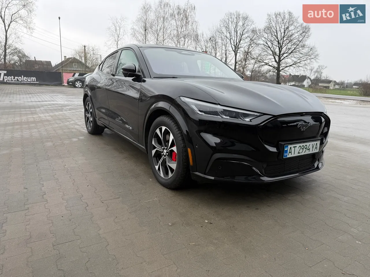 2021 Ford Mustang Mach-E - мініатюра 24