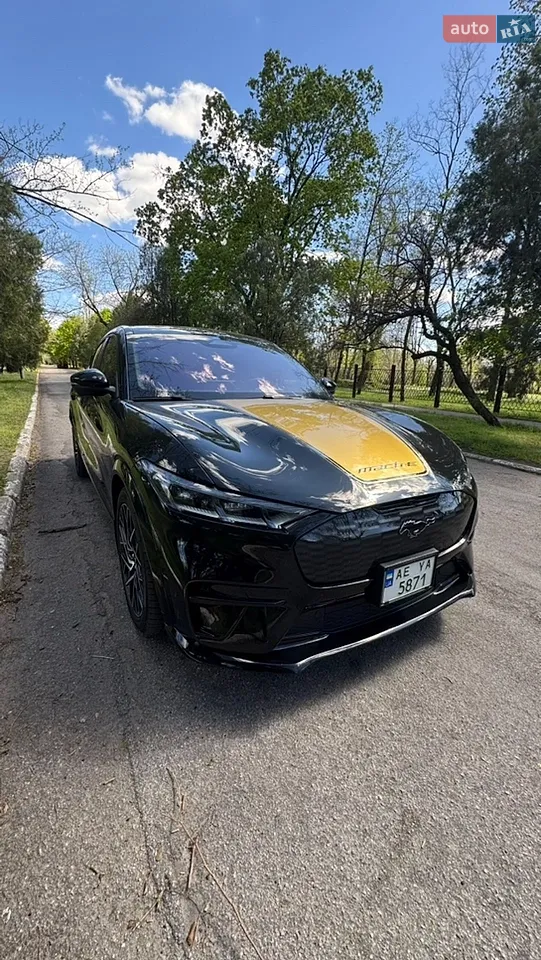 2022 Ford Mustang Mach-E - мініатюра 20