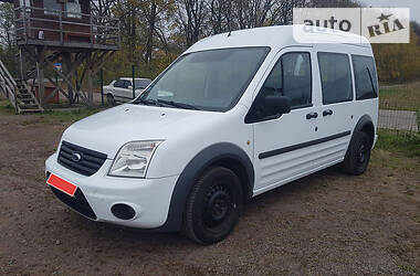 Ford Tourneo Connect 2010