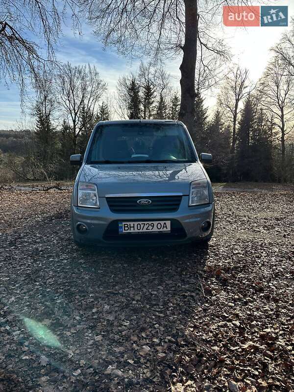 Ford Tourneo Connect 2010