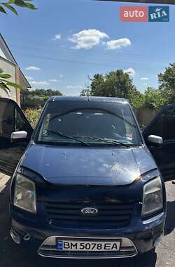 Ford Transit Connect 2010