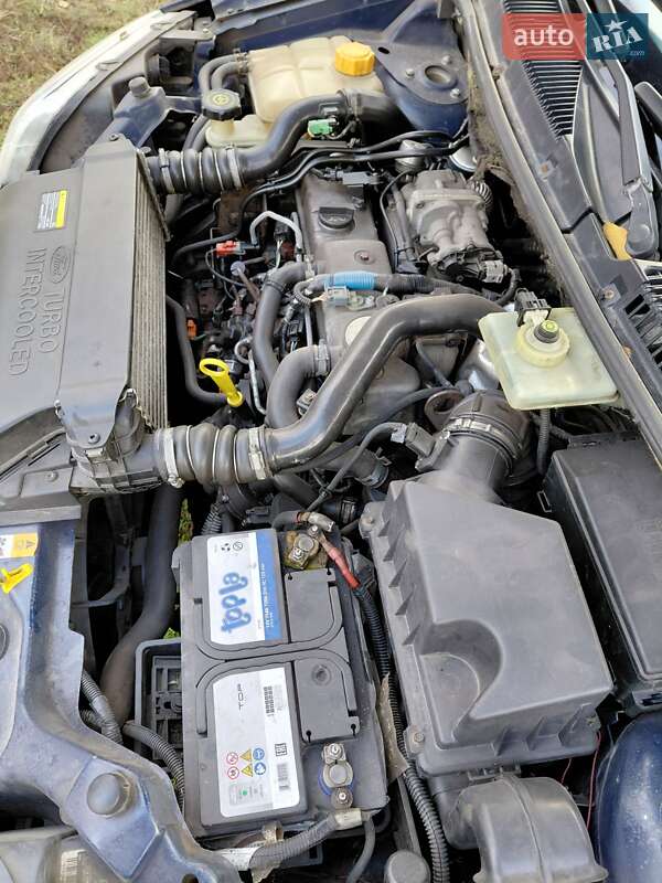 Минивэн Ford Transit Connect 2008 в Хороле