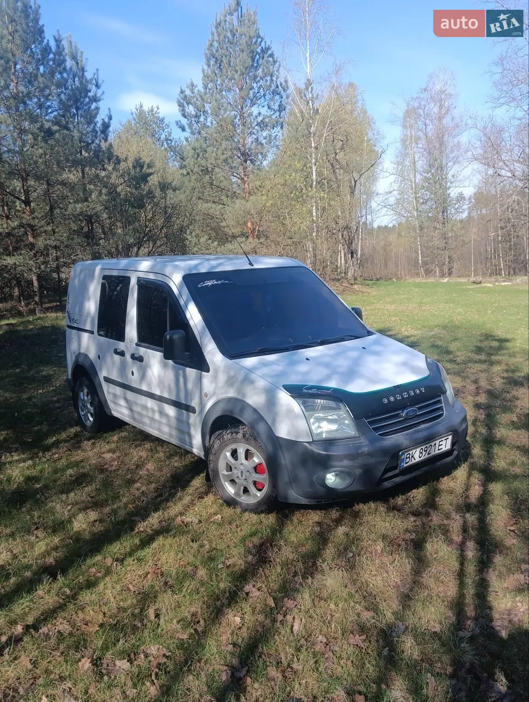 2010 Ford Transit Connect - мініатюра 4