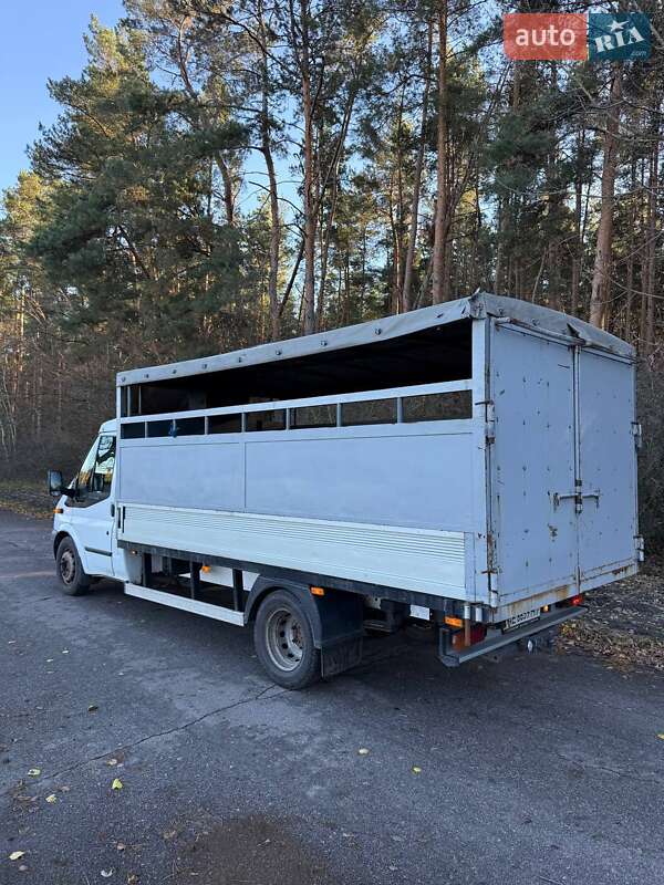 Для перевозки животных Ford Transit 2013 в Полтаве фото 4 Для перевозки животных Ford Transit 2013 в Полтаве